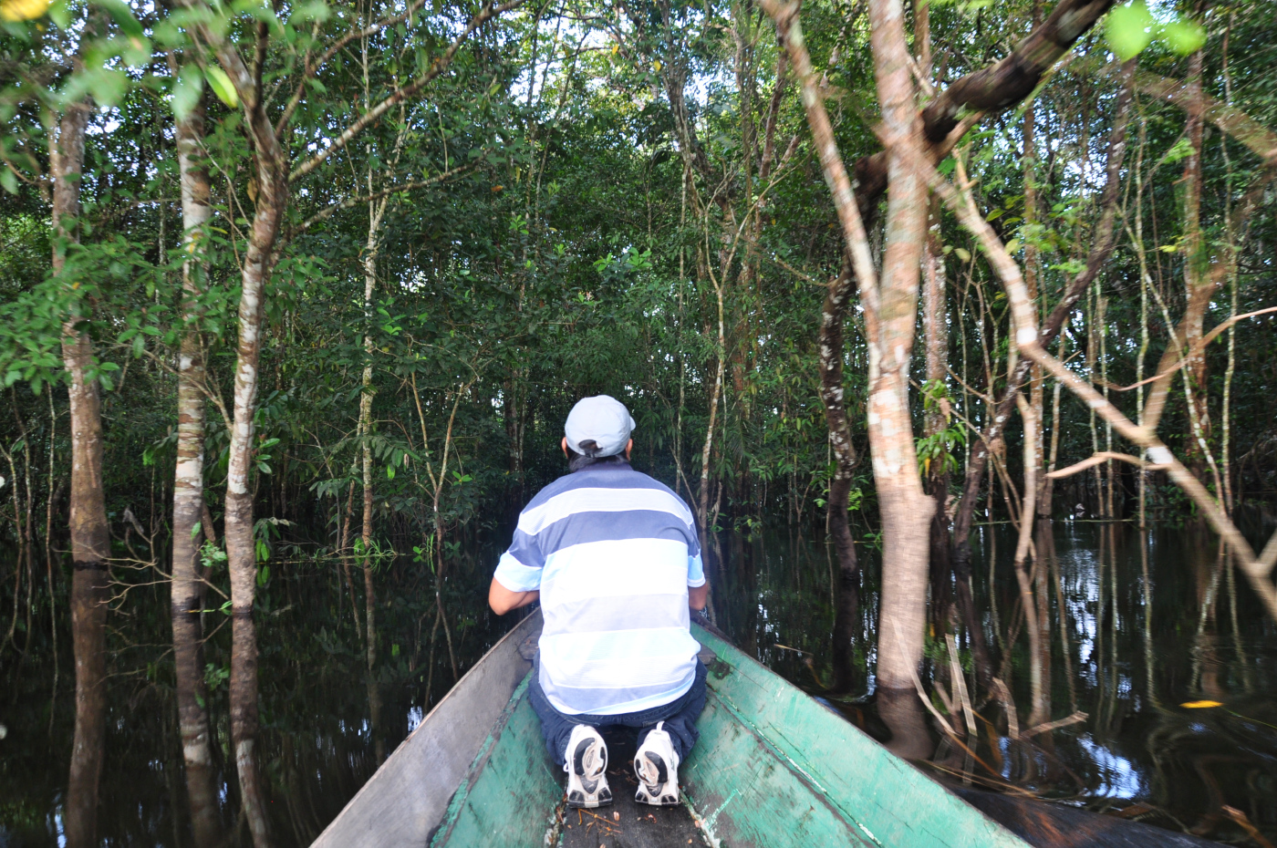 Brazylia - Manaus - Amazonka